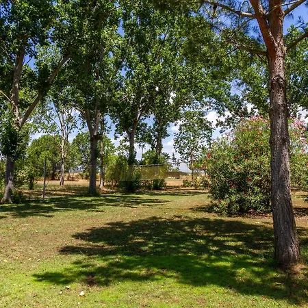 Bilo Anemone Appartement Marina di Grosseto