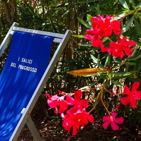 Bilo Anemone Marina di Grosseto