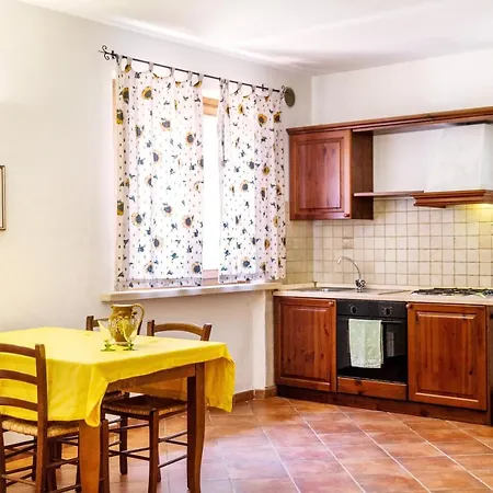 Bilo Anemone Marina di Grosseto